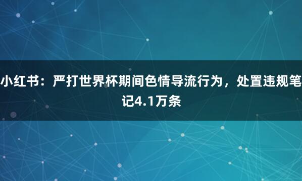 小红书：严打世界杯期间色情导流行为，处置违规笔记4.1万条