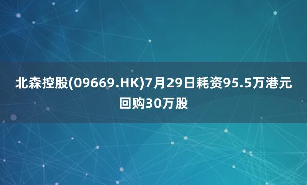 北森控股(09669.HK)7月29日耗资95.5万港元回购30万股