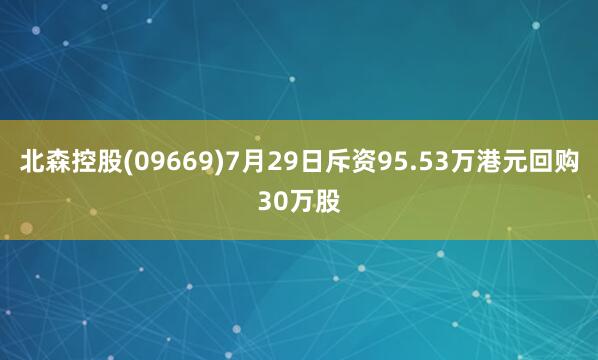 北森控股(09669)7月29日斥资95.53万港元回购30万股