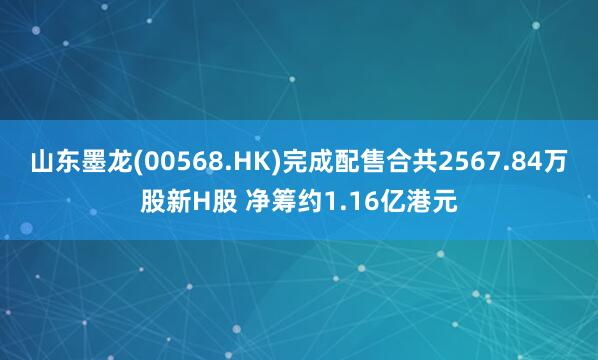 山东墨龙(00568.HK)完成配售合共2567.84万股新H股 净筹约1.16亿港元