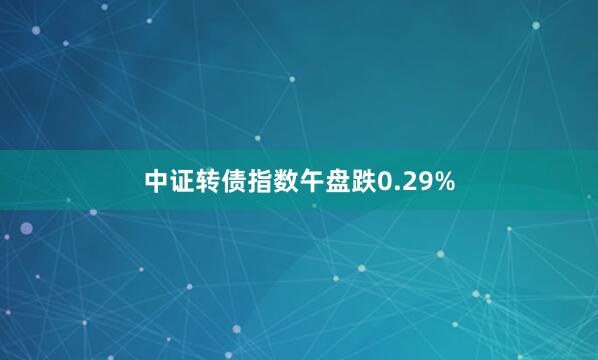 中证转债指数午盘跌0.29%