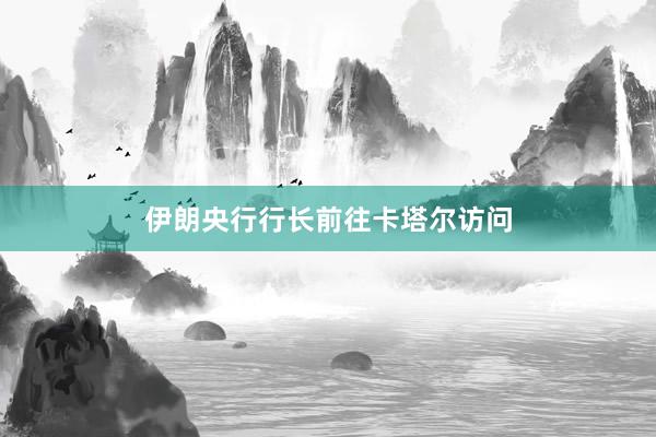 伊朗央行行长前往卡塔尔访问