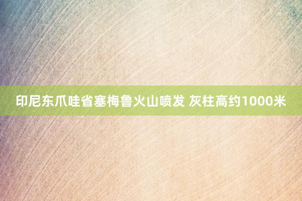 印尼东爪哇省塞梅鲁火山喷发 灰柱高约1000米