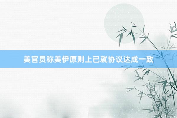 美官员称美伊原则上已就协议达成一致