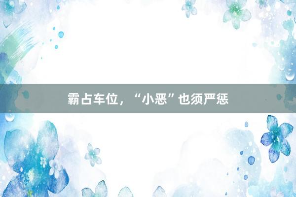 霸占车位，“小恶”也须严惩