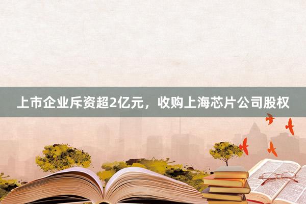 上市企业斥资超2亿元，收购上海芯片公司股权