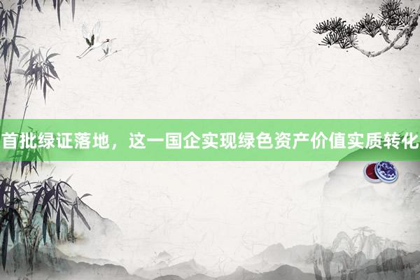 首批绿证落地，这一国企实现绿色资产价值实质转化