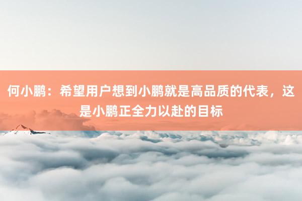 何小鹏：希望用户想到小鹏就是高品质的代表，这是小鹏正全力以赴的目标