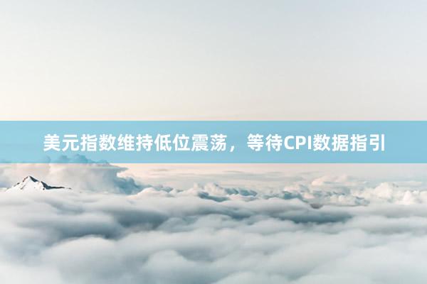 美元指数维持低位震荡，等待CPI数据指引