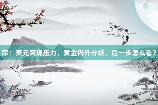 宗：美元突现压力，黄金内外分歧，后一步怎么看？
