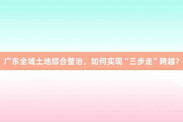 广东全域土地综合整治，如何实现“三步走”跨越？