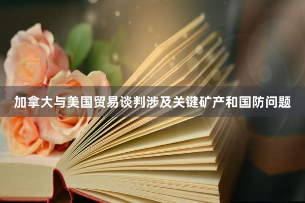 加拿大与美国贸易谈判涉及关键矿产和国防问题