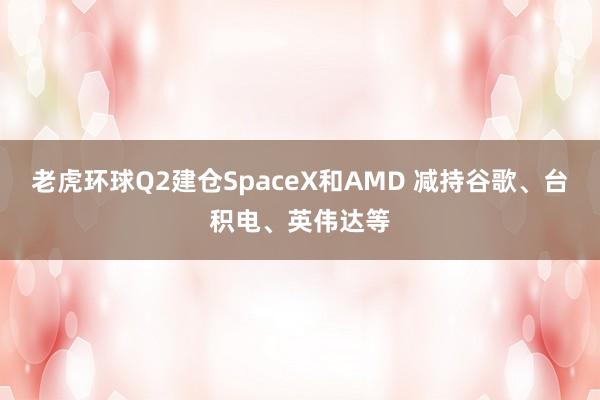 老虎环球Q2建仓SpaceX和AMD 减持谷歌、台积电、英伟达等