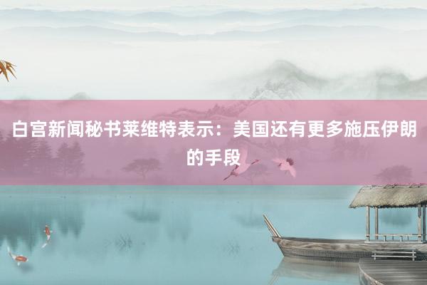 白宫新闻秘书莱维特表示：美国还有更多施压伊朗的手段
