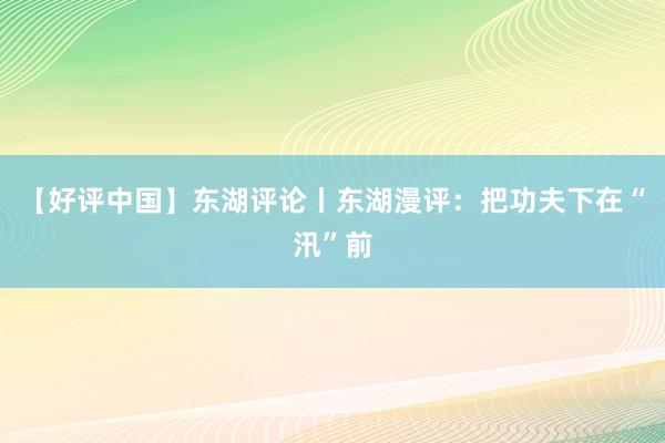 【好评中国】东湖评论丨东湖漫评：把功夫下在“汛”前