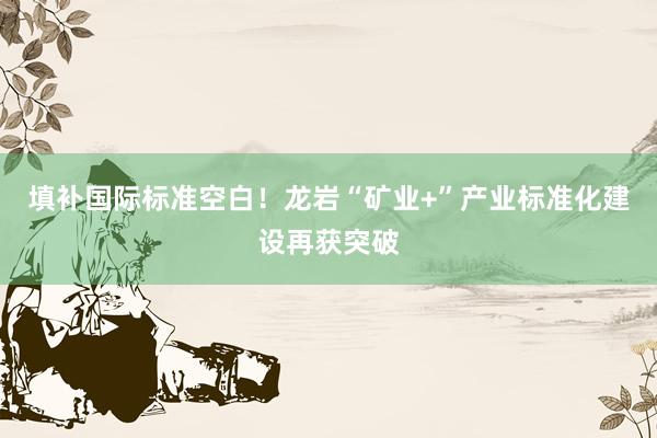 填补国际标准空白！龙岩“矿业+”产业标准化建设再获突破
