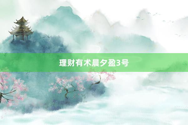 理财有术晨夕盈3号