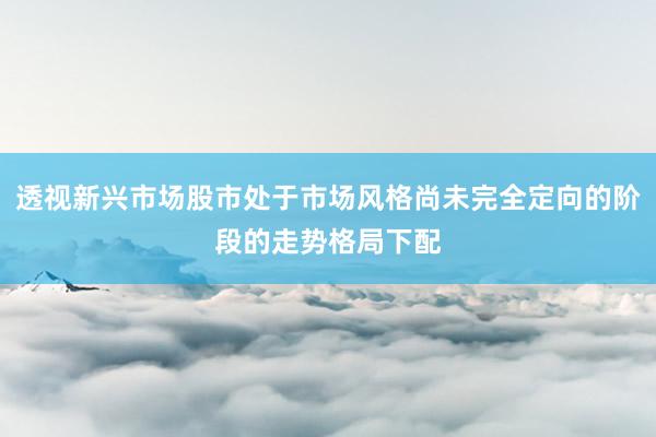 透视新兴市场股市处于市场风格尚未完全定向的阶段的走势格局下配