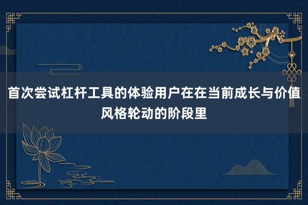 首次尝试杠杆工具的体验用户在在当前成长与价值风格轮动的阶段里