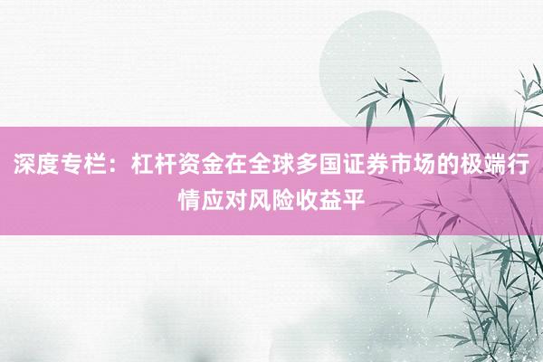 深度专栏：杠杆资金在全球多国证券市场的极端行情应对风险收益平