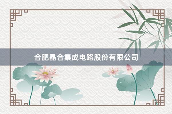 合肥晶合集成电路股份有限公司
