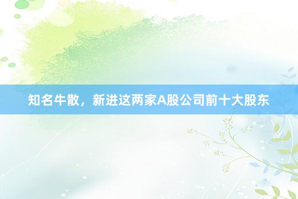 知名牛散,新进这两家A股公司前十大股东