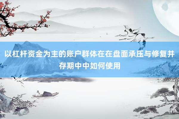 以杠杆资金为主的账户群体在在盘面承压与修复并存期中中如何使用