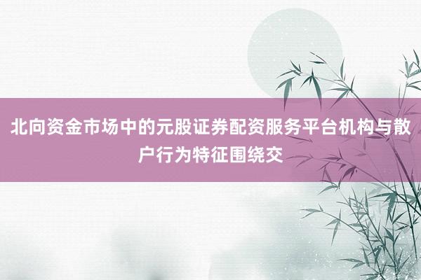 北向资金市场中的元股证券配资服务平台机构与散户行为特征围绕交