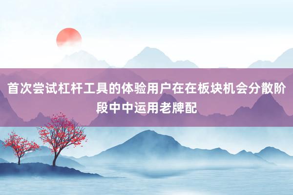 首次尝试杠杆工具的体验用户在在板块机会分散阶段中中运用老牌配
