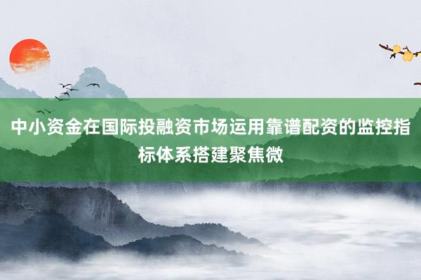 中小资金在国际投融资市场运用靠谱配资的监控指标体系搭建聚焦微