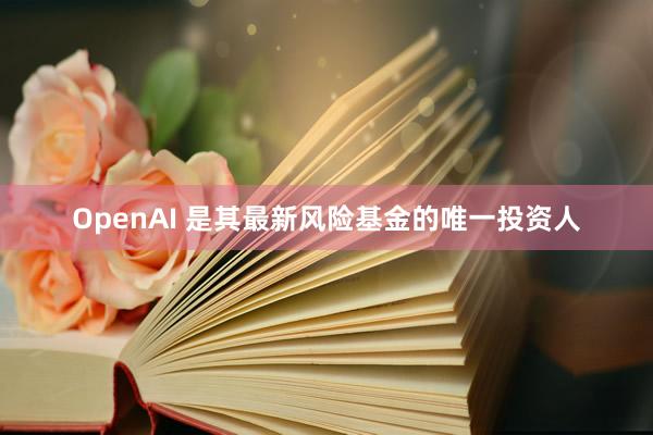 OpenAI 是其最新风险基金的唯一投资人