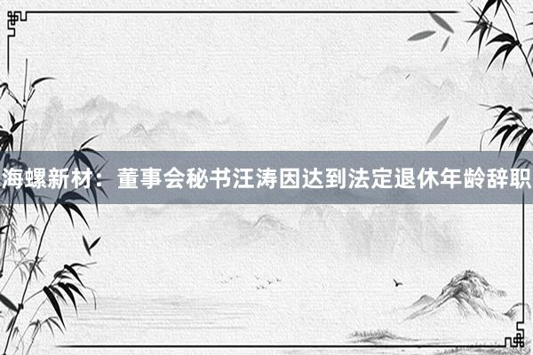 海螺新材：董事会秘书汪涛因达到法定退休年龄辞职