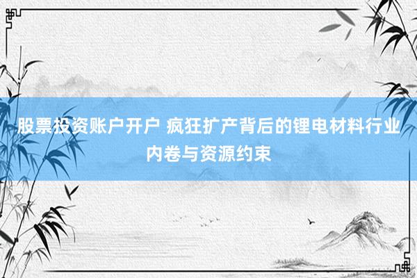 股票投资账户开户 疯狂扩产背后的锂电材料行业内卷与资源约束