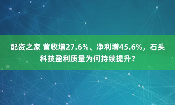 配资之家 营收增27.6%、净利增45.6%,石头科技盈利质量为何持续提升?
