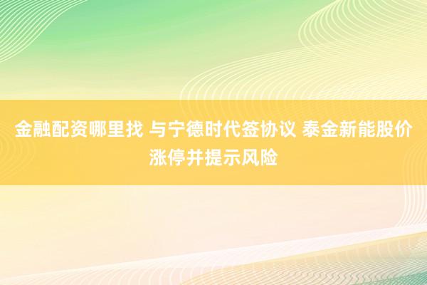金融配资哪里找 与宁德时代签协议 泰金新能股价涨停并提示风险