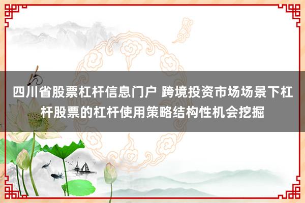 四川省股票杠杆信息门户 跨境投资市场场景下杠杆股票的杠杆使用策略结构性机会挖掘