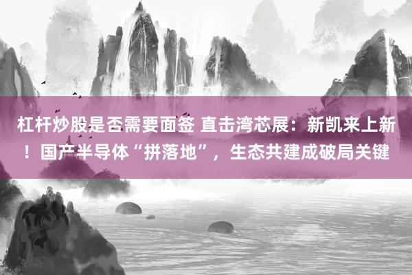 杠杆炒股是否需要面签 直击湾芯展：新凯来上新！国产半导体“拼落地”，生态共建成破局关键