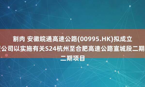 割肉 安徽皖通高速公路(00995.HK)拟成立合资公司以实施有关S24杭州至合肥高速公路宣城段二期项目
