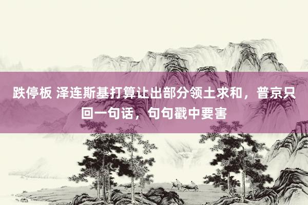 跌停板 泽连斯基打算让出部分领土求和，普京只回一句话，句句戳中要害