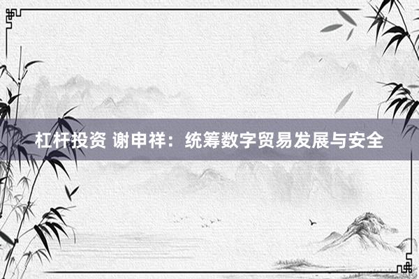杠杆投资 谢申祥：统筹数字贸易发展与安全