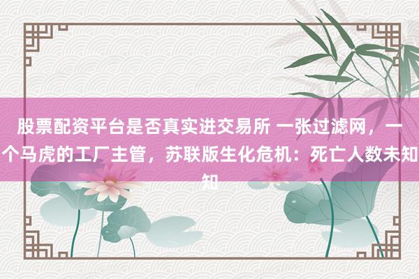 股票配资平台是否真实进交易所 一张过滤网，一个马虎的工厂主管，苏联版生化危机：死亡人数未知